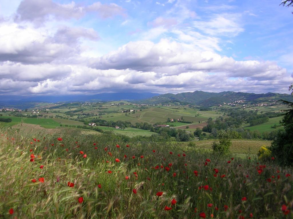 Villa Dei Romaniani Villaromagnano Экстерьер фото