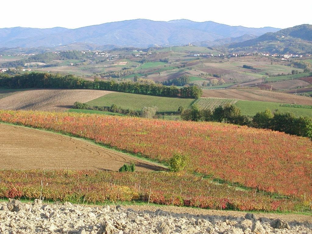 Villa Dei Romaniani Villaromagnano Экстерьер фото